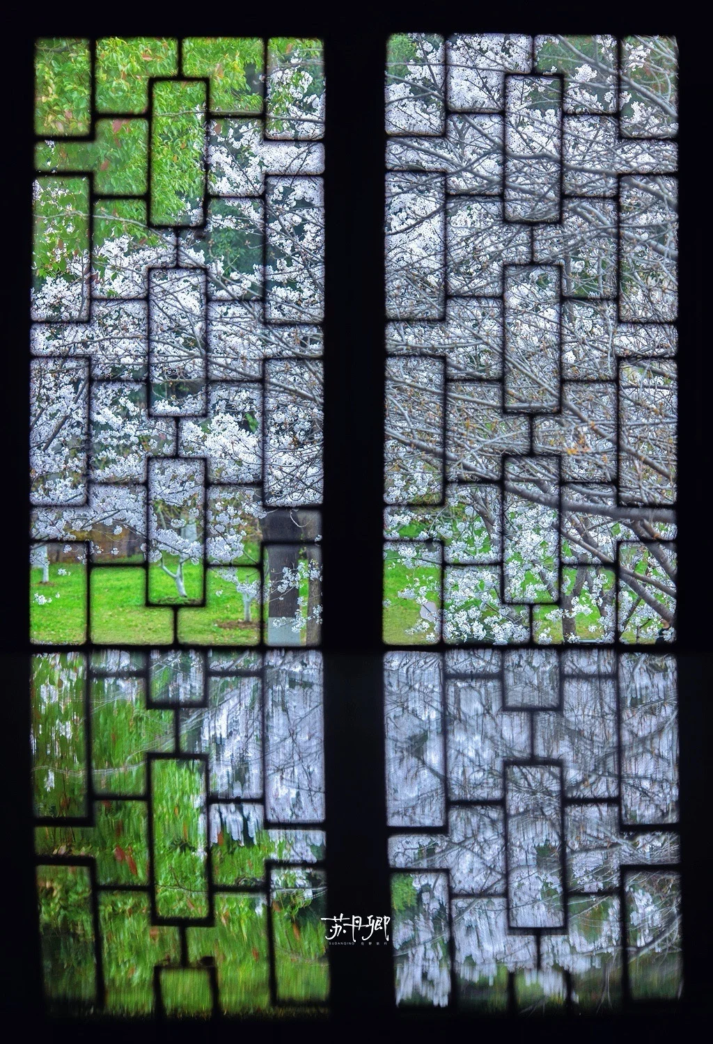 地铁直达‼️🌸解锁武汉又一个免费赏樱公园