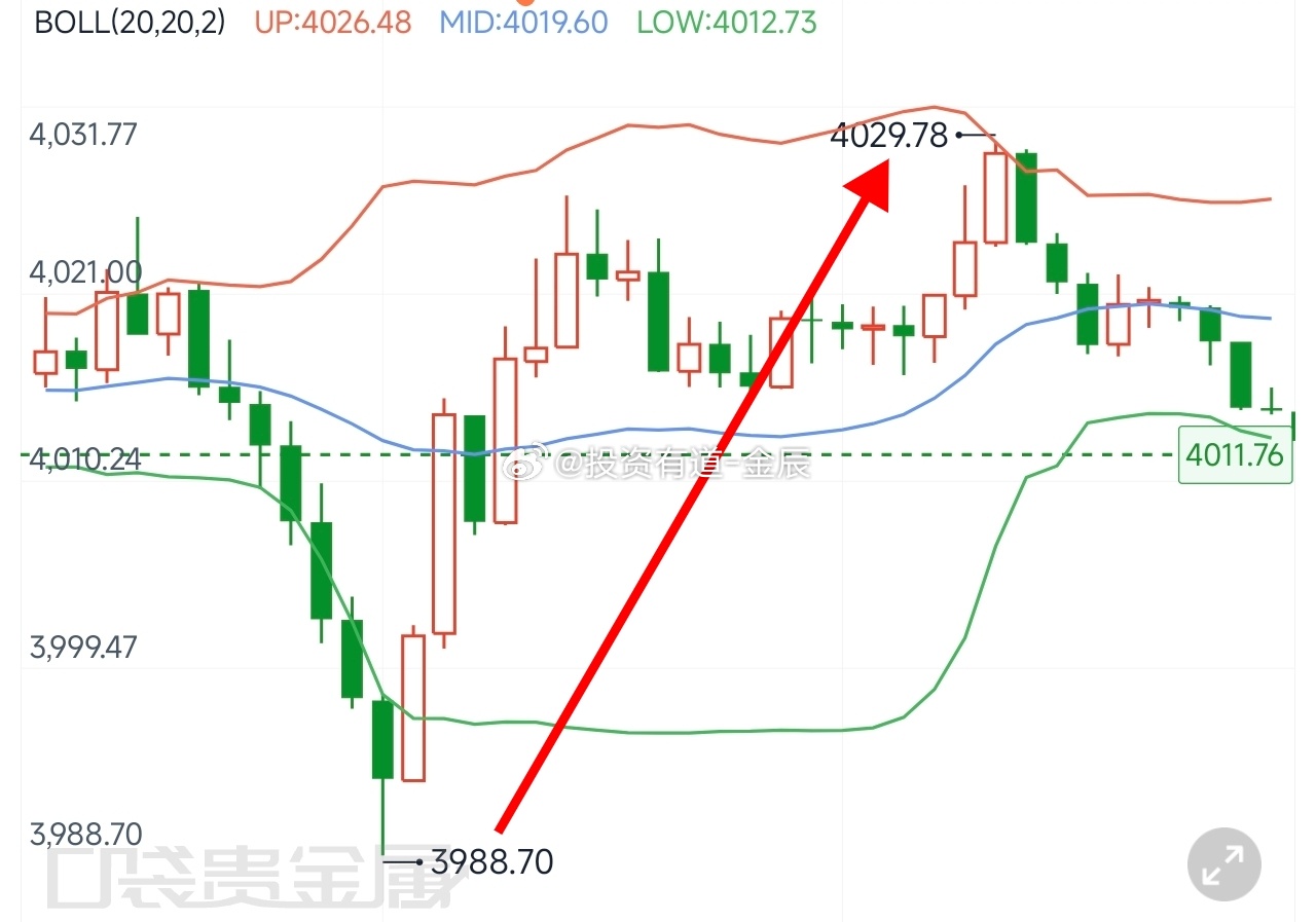 把握住每一波机会，一直都是我的强项。我始终坚信，只要把控住风险，剩下的交给行情就