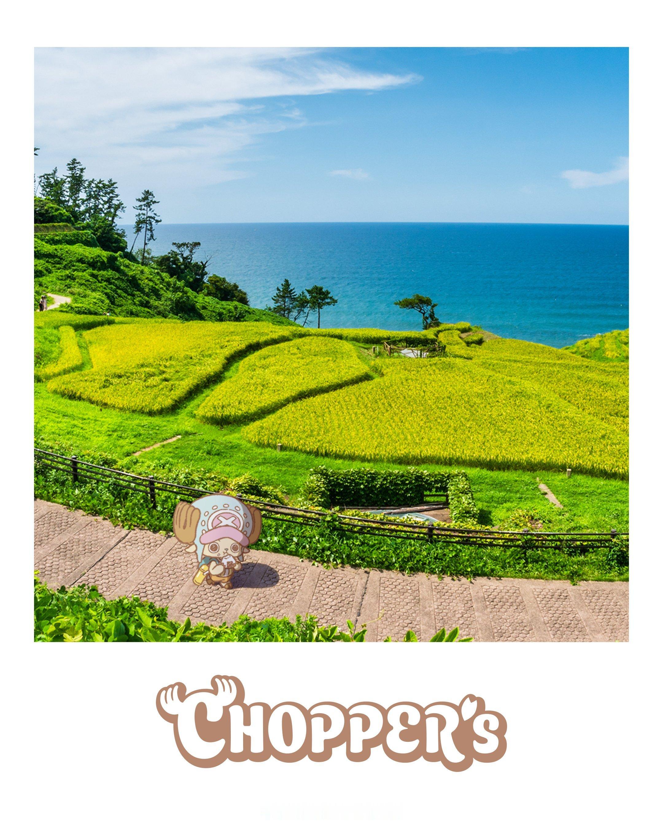 海贼王 【本田快讯】         「CHOPPER’s」乔巴在现代世界的生活