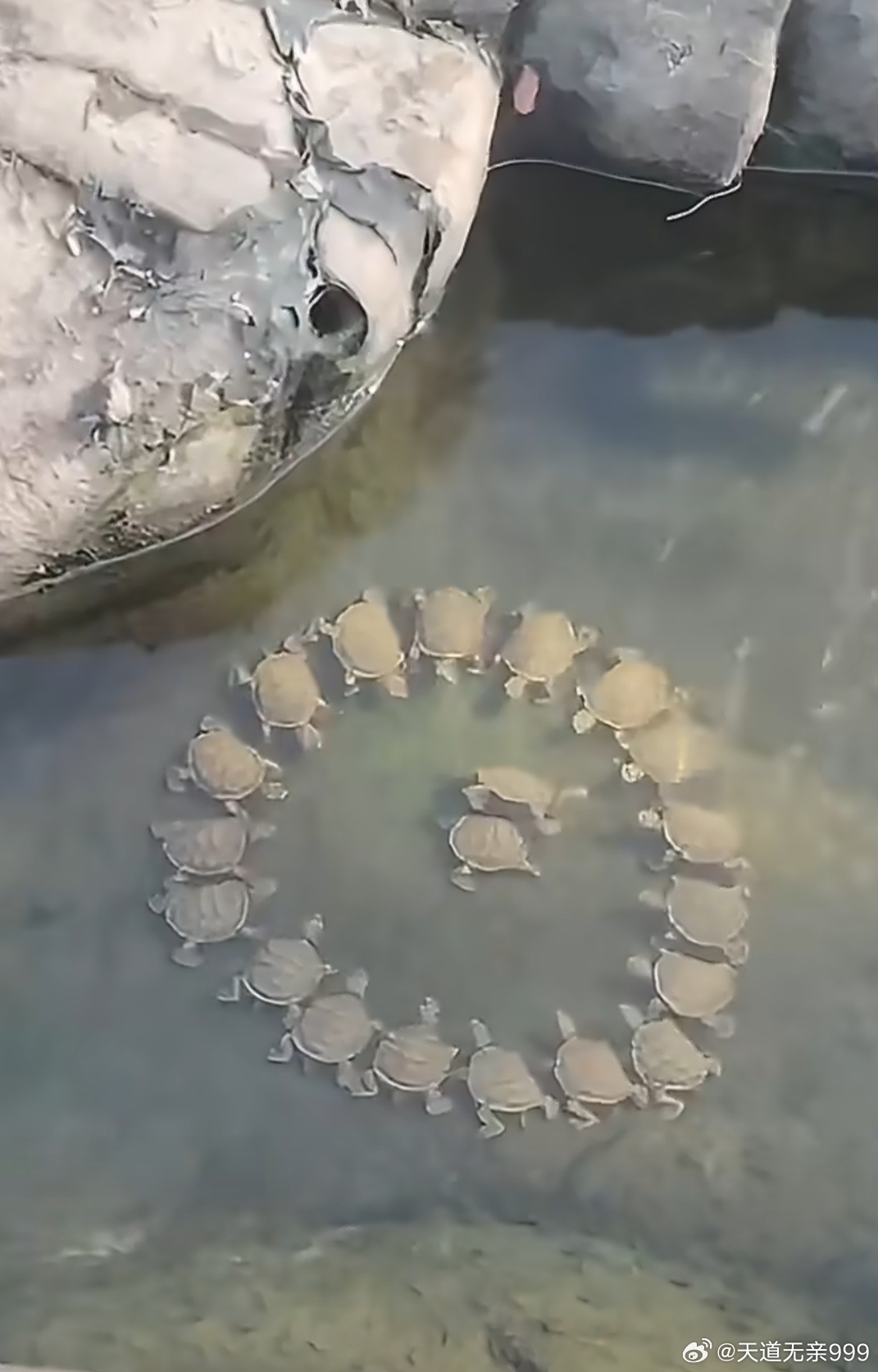 霍尔木兹封锁日本最先扛不住了日本真扛不住了，有什么办法打破霍尔木兹海峡封锁?在7