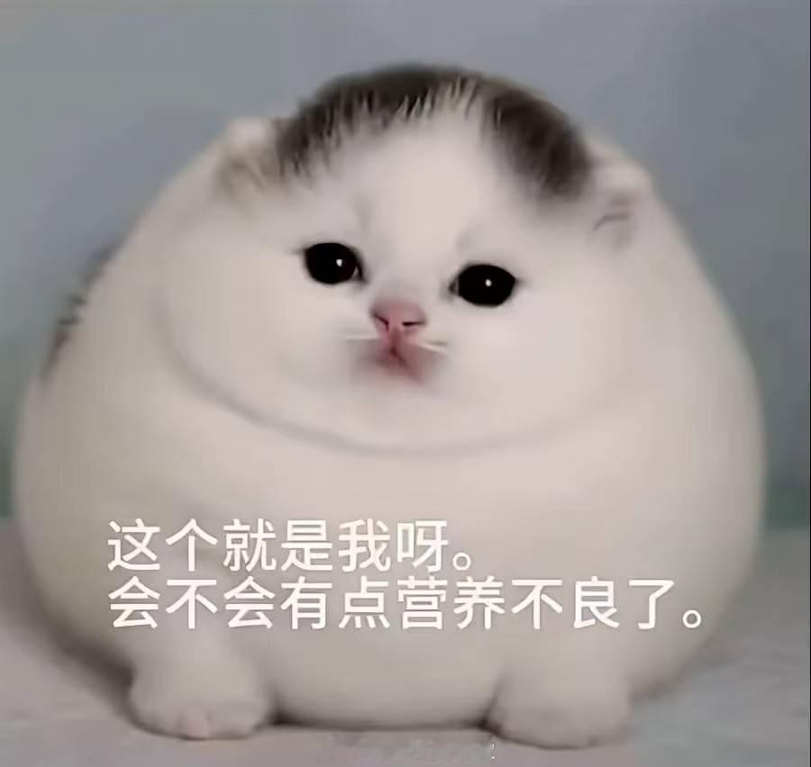 点了份贵死人烧烤才想起来可以去家楼下烤 
