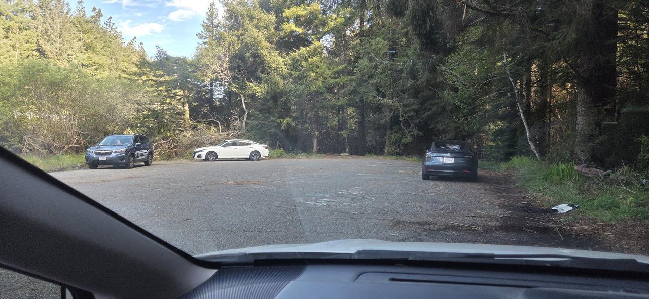 我想去树林里思考，结果发现已经有三个家伙在思考了。

 就这样一句话，加上一张普