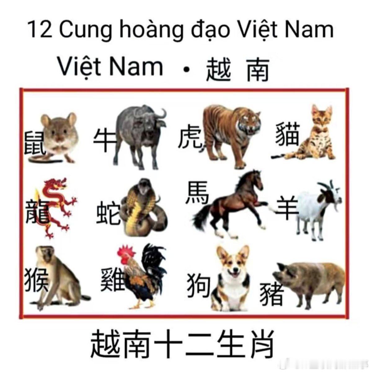 工作人员回应十二生肖图有猫无蛇 越南的十二生肖里是有猫的，但是没有兔。 