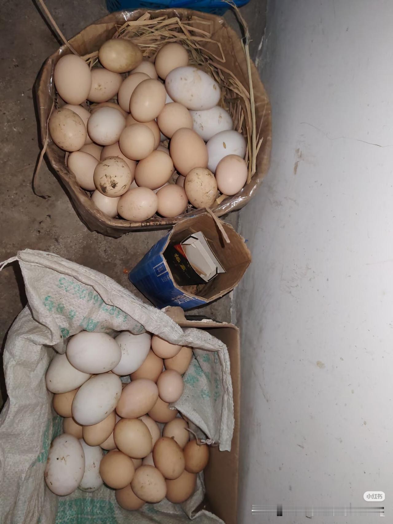 在农村怎么把多余的土鸡蛋和农产品卖出去呀
奶奶和爷爷养了些鸡鸭鹅，它们都会下蛋。