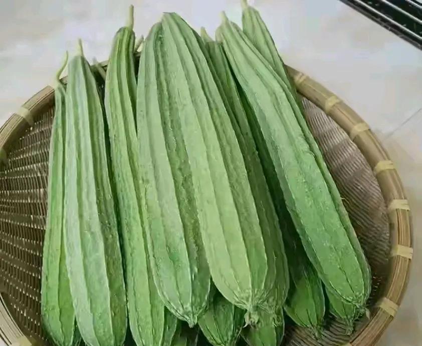 国庆节的时候，广东清远乡下的老奶奶，老是担心刚刚在县城的买了楼房的儿子一家，吃不