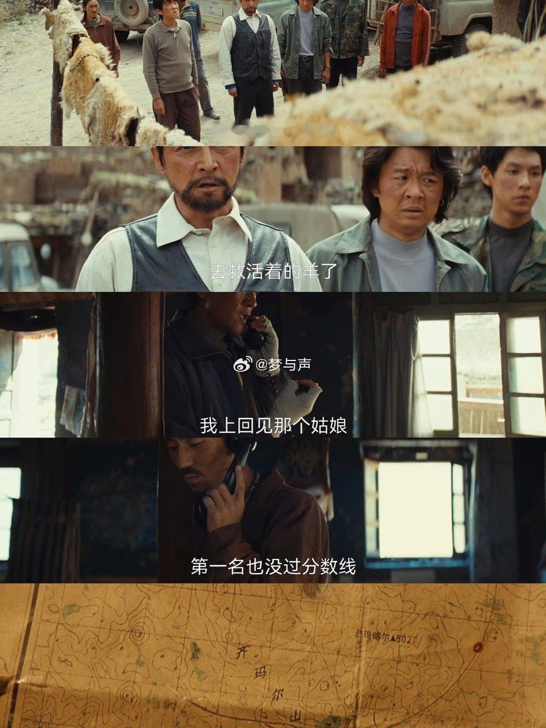 生命树每一秒都在倒计时  白菊看照片时眼底的悲伤太戳人了…“信你”二字背后是多少