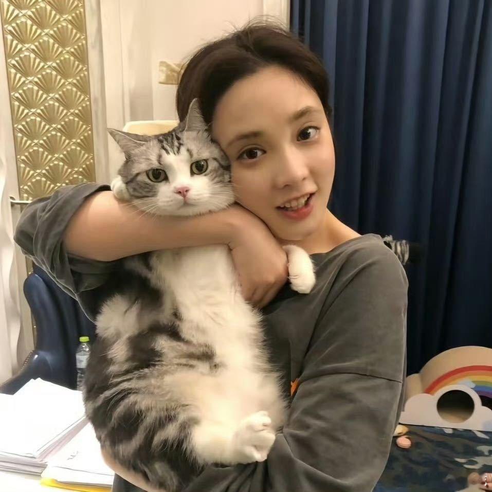 彭小苒曾在横店收养流浪猫 彭小苒私下也太温柔了！横店收养流浪猫福福，现在一家四口