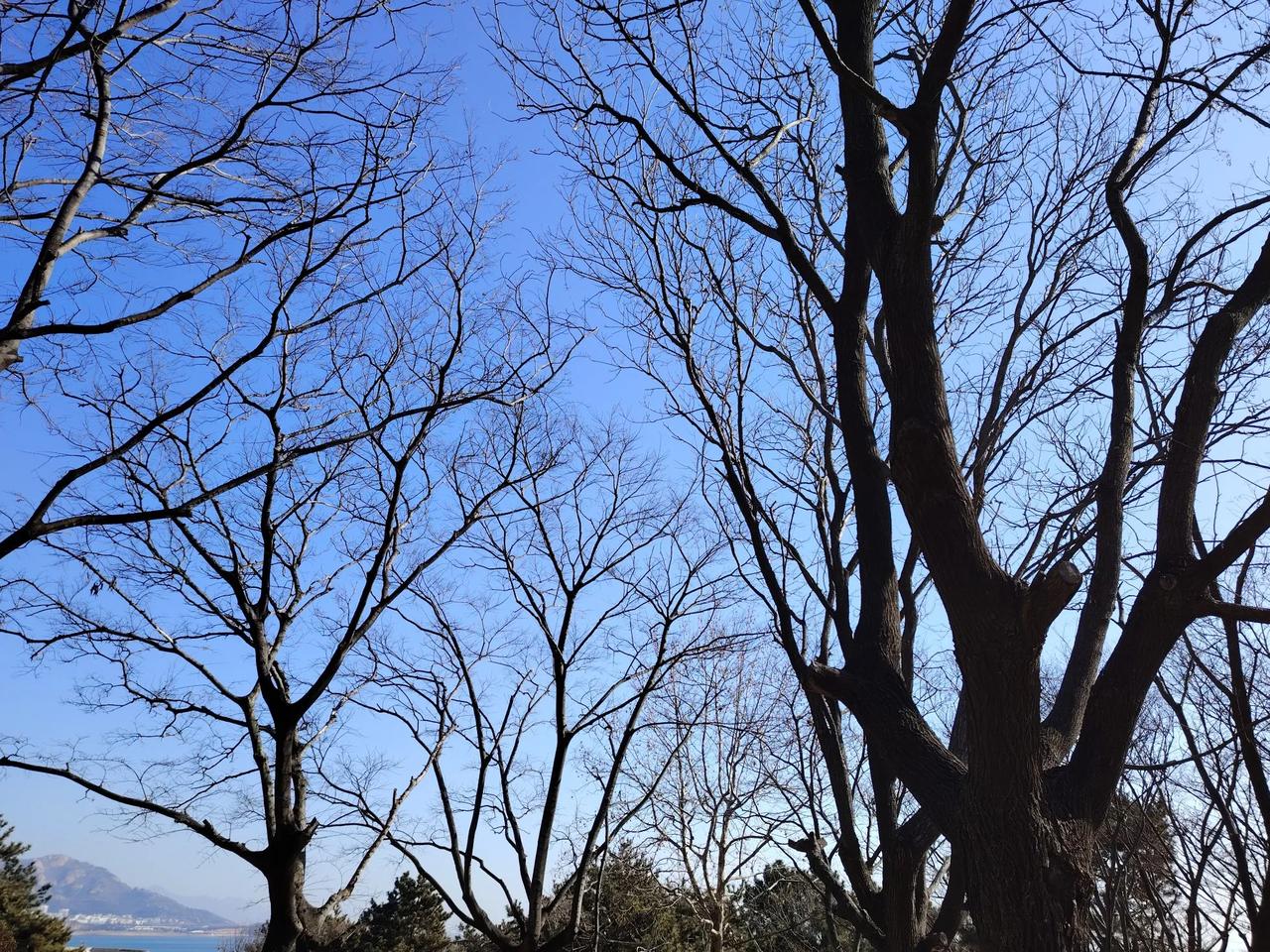 青岛崂山，今日晴，白天最高气温7℃，夜间最低温度-4℃，西北风3级，空气质量良。