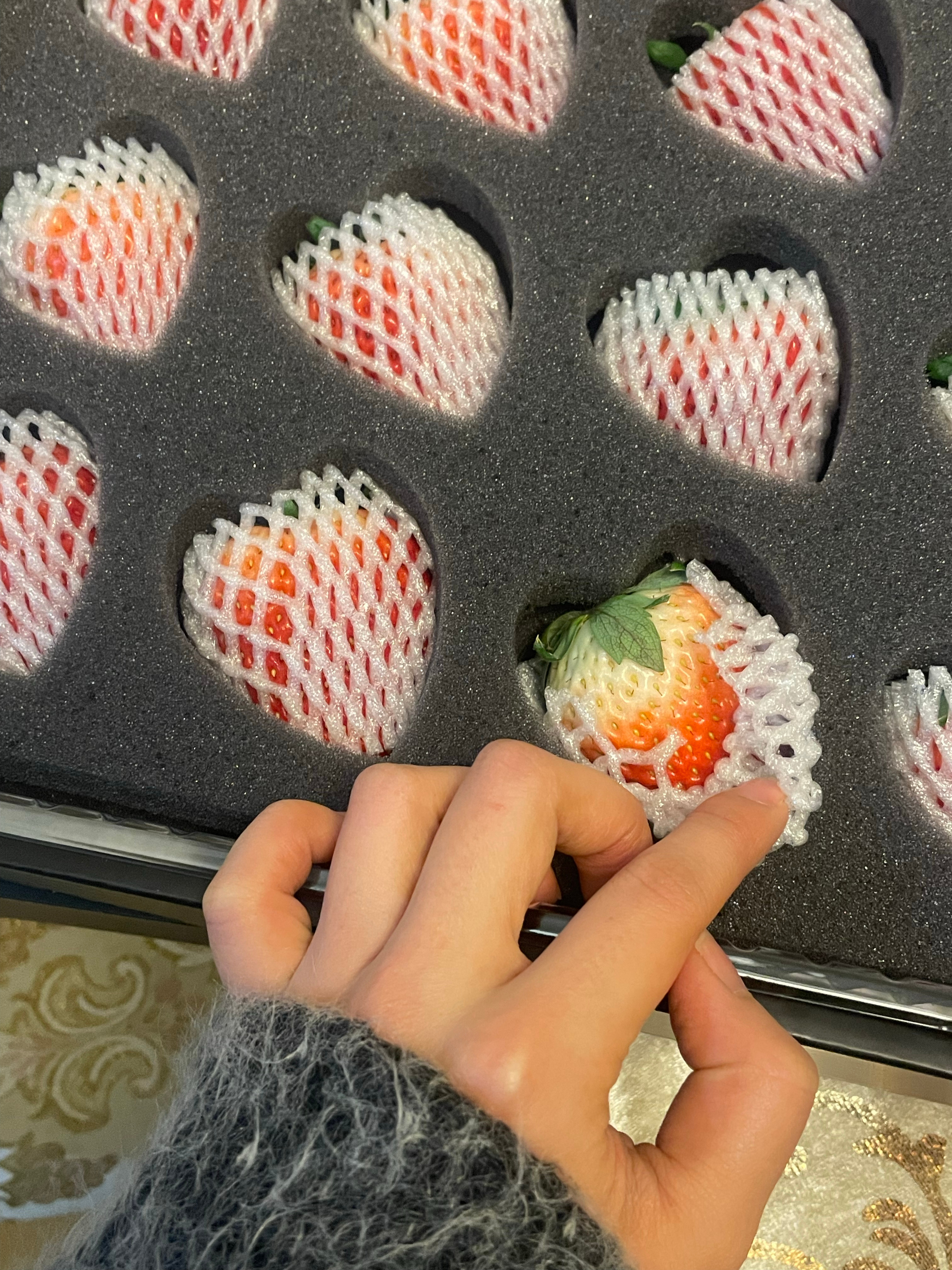 等你们断电 我看见时代的海岸线 ​​​