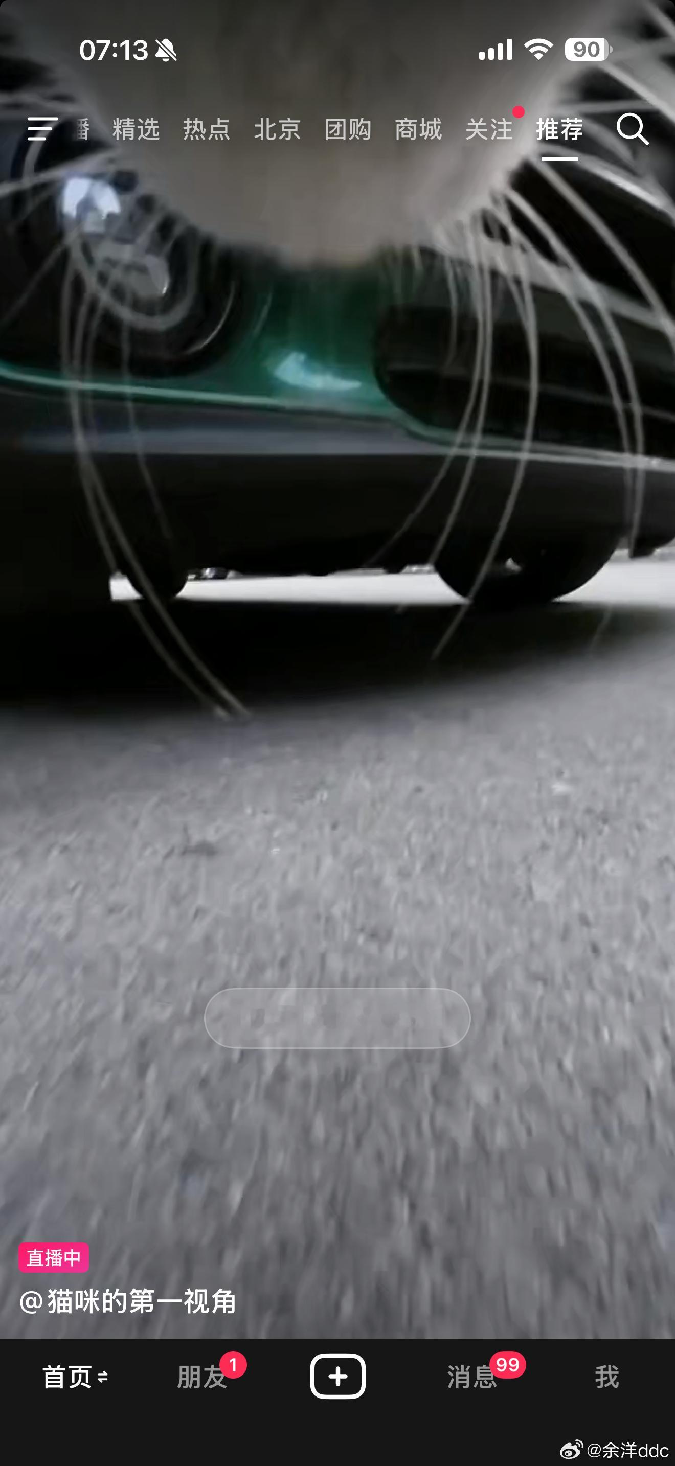 早上刷到一只猫在直播，好奇看了十多分钟，还挺有意思[笑cry] ​​​