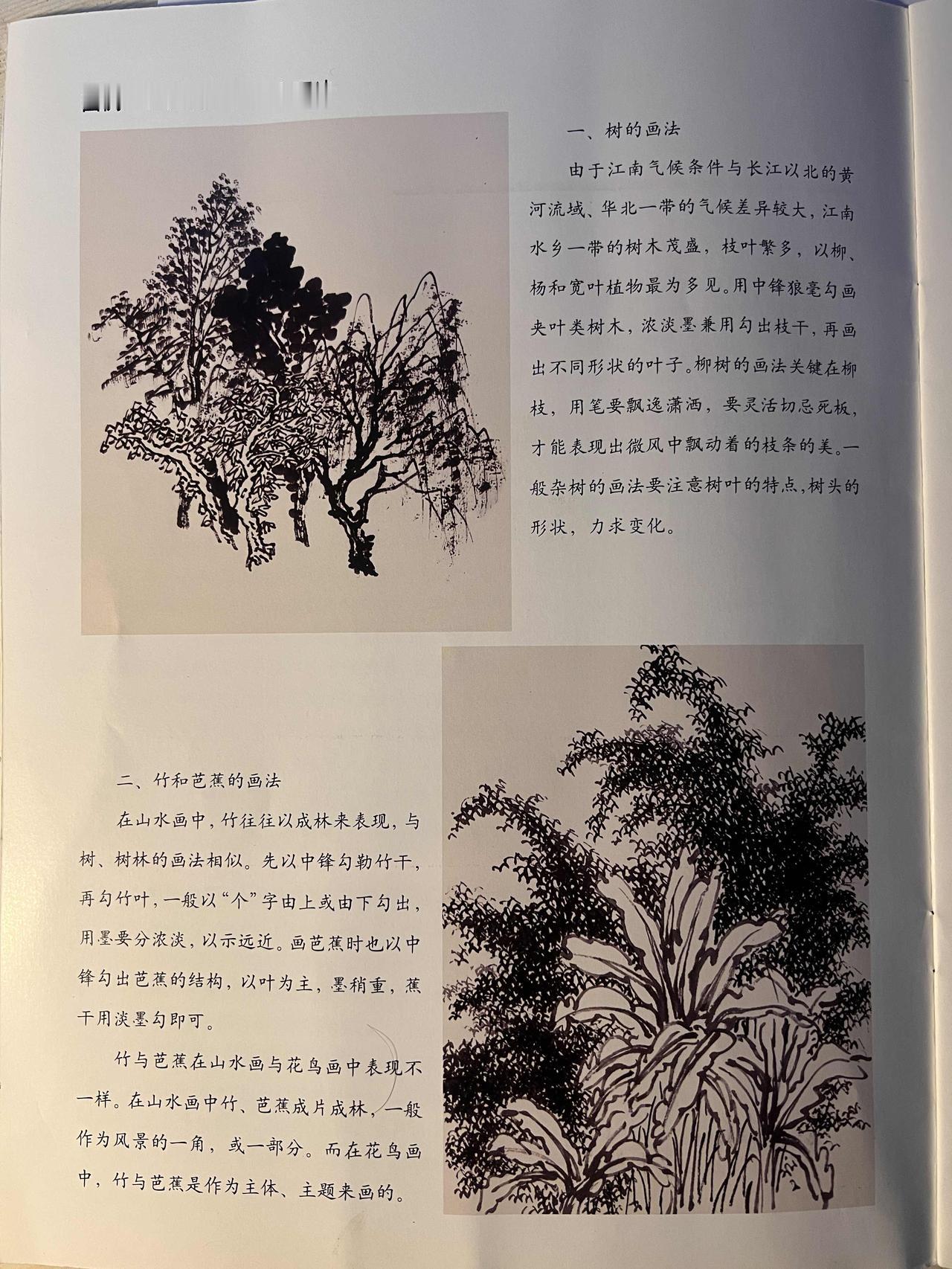 一本知识性的书籍就是一位老师。
这本江南水乡的技法写意山水是中国美术家协会的姬俊