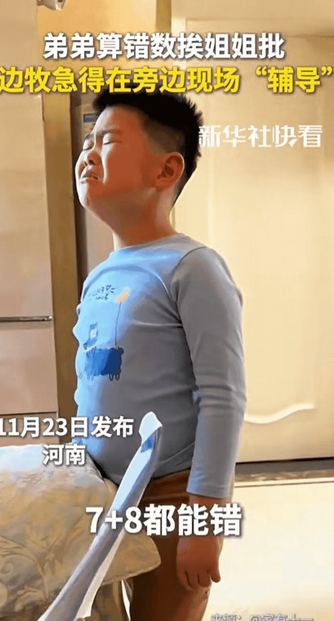 “成精了！”河南icon一只边牧犬icon“成精了”，它看见小主人不会算数被姐姐