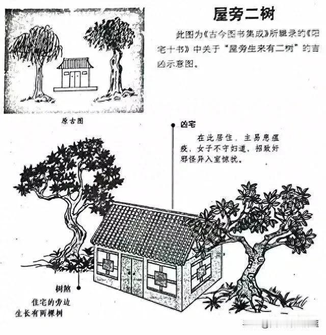 屋旁生来有二树：凶宅若有两棵树生长在屋旁，楼台屋宇内会出现瘟疫。女子放荡不守妇道