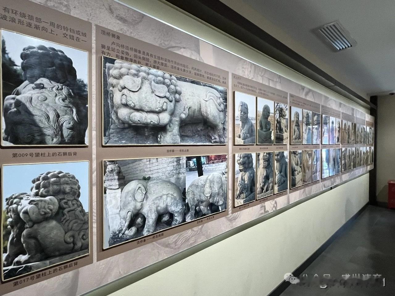 春日生活打卡季