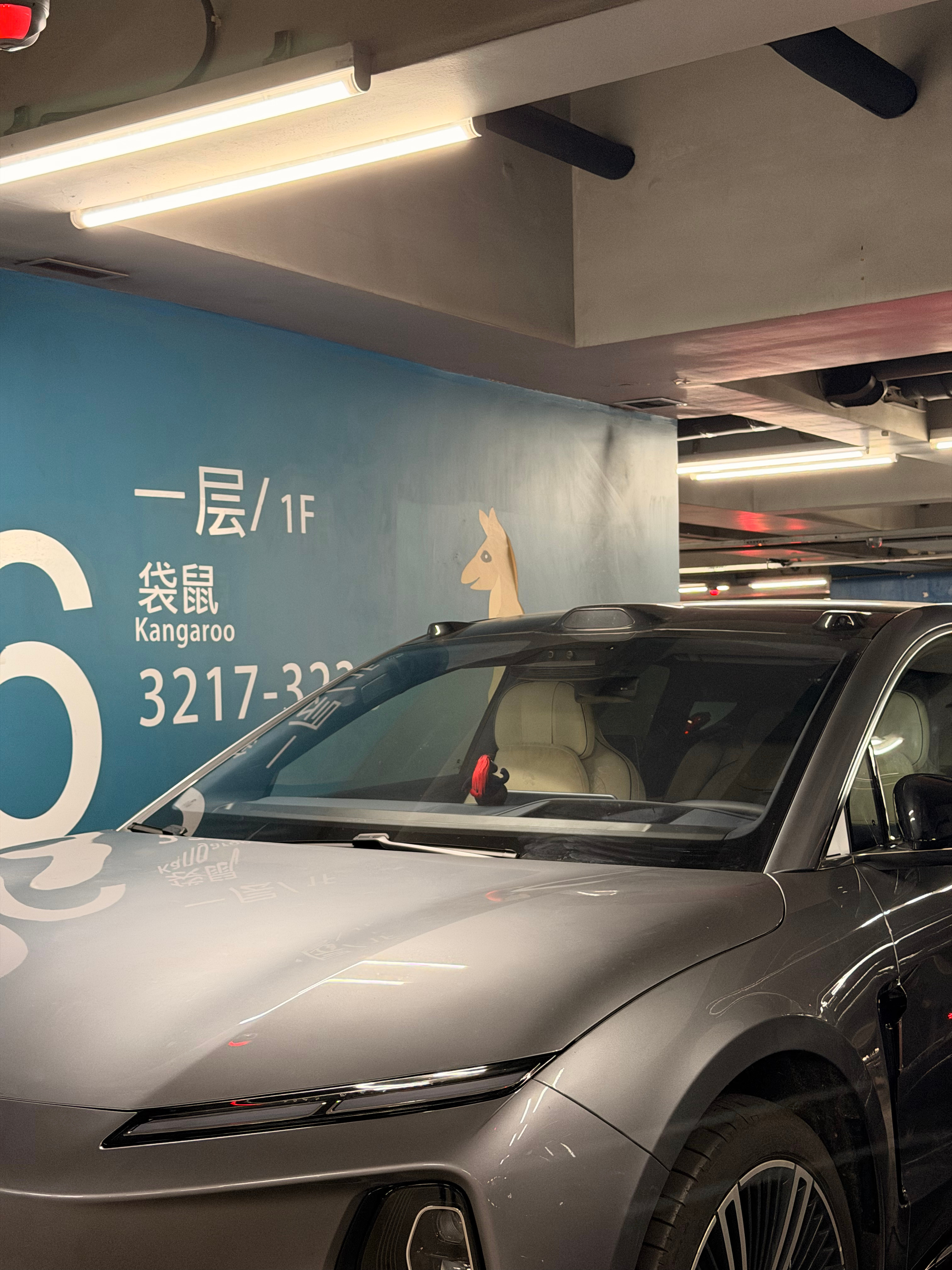 回家就有ET9接还是很香的P6偶遇月辉银车友同款杀马特帽子 上海·上海虹桥国际机