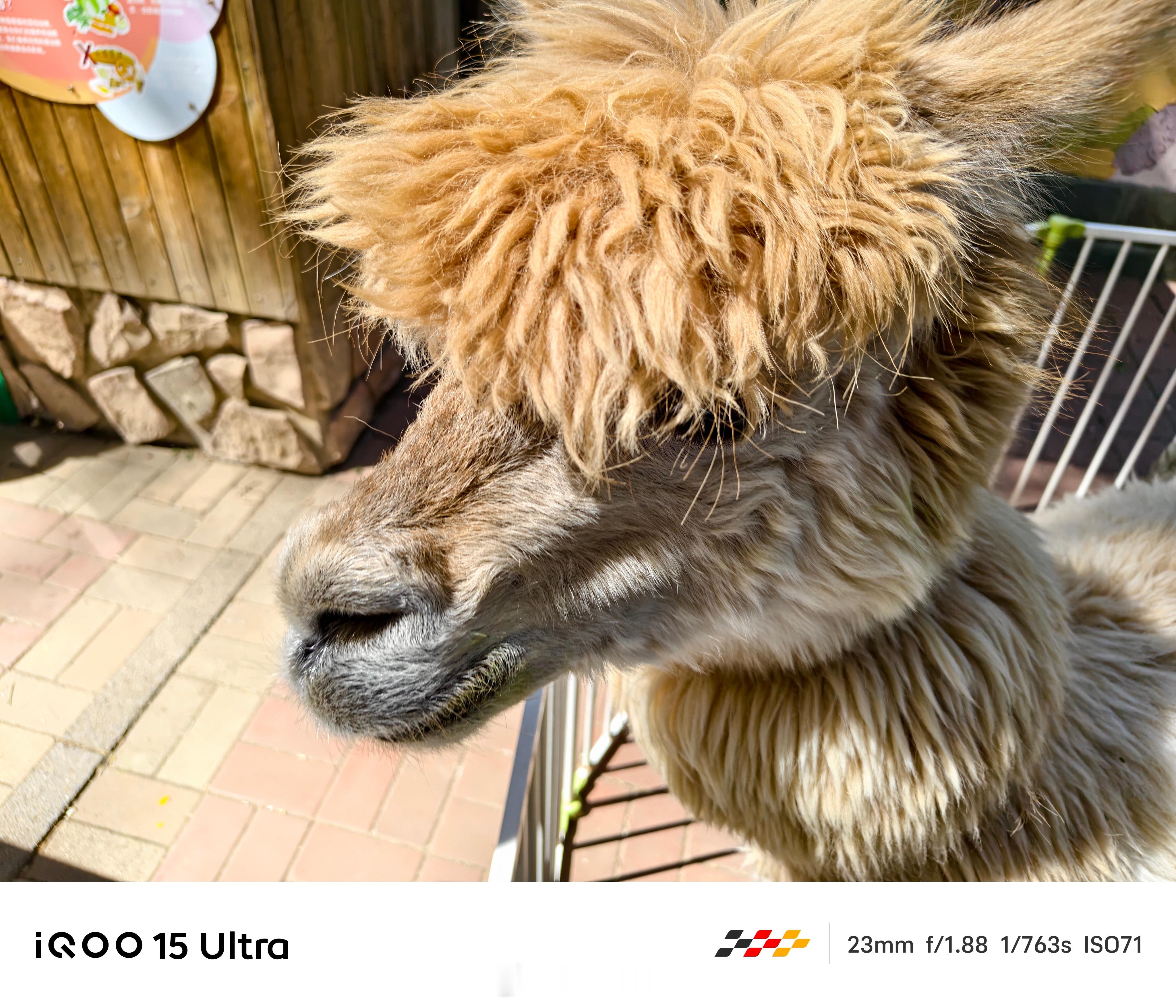 iQOO15 Ultra iQOO 15 Ultra影像内置多种专业拍摄模式，支