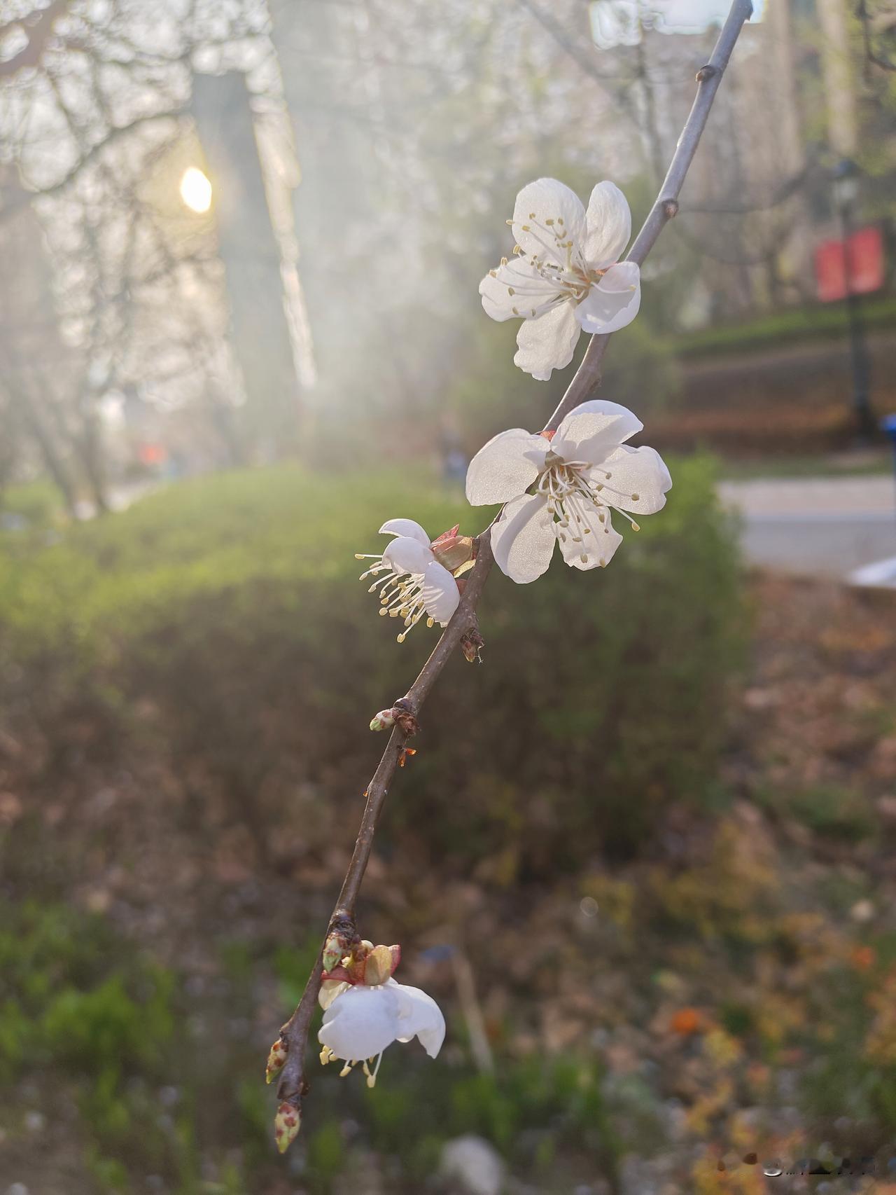 老祖宗留下的12条识人术
 
1. 暴躁的人，声粗气急；
2. 虚伪的人，言辞浮