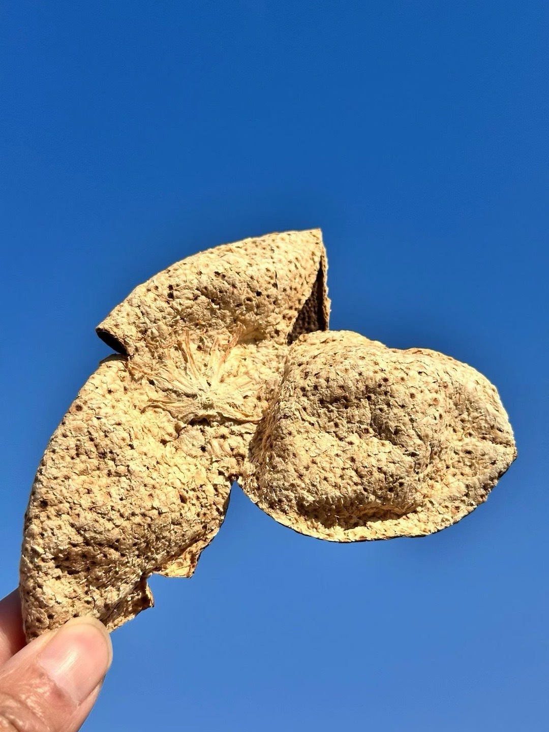 深耕自己少论是非，心静自在福气自来。 