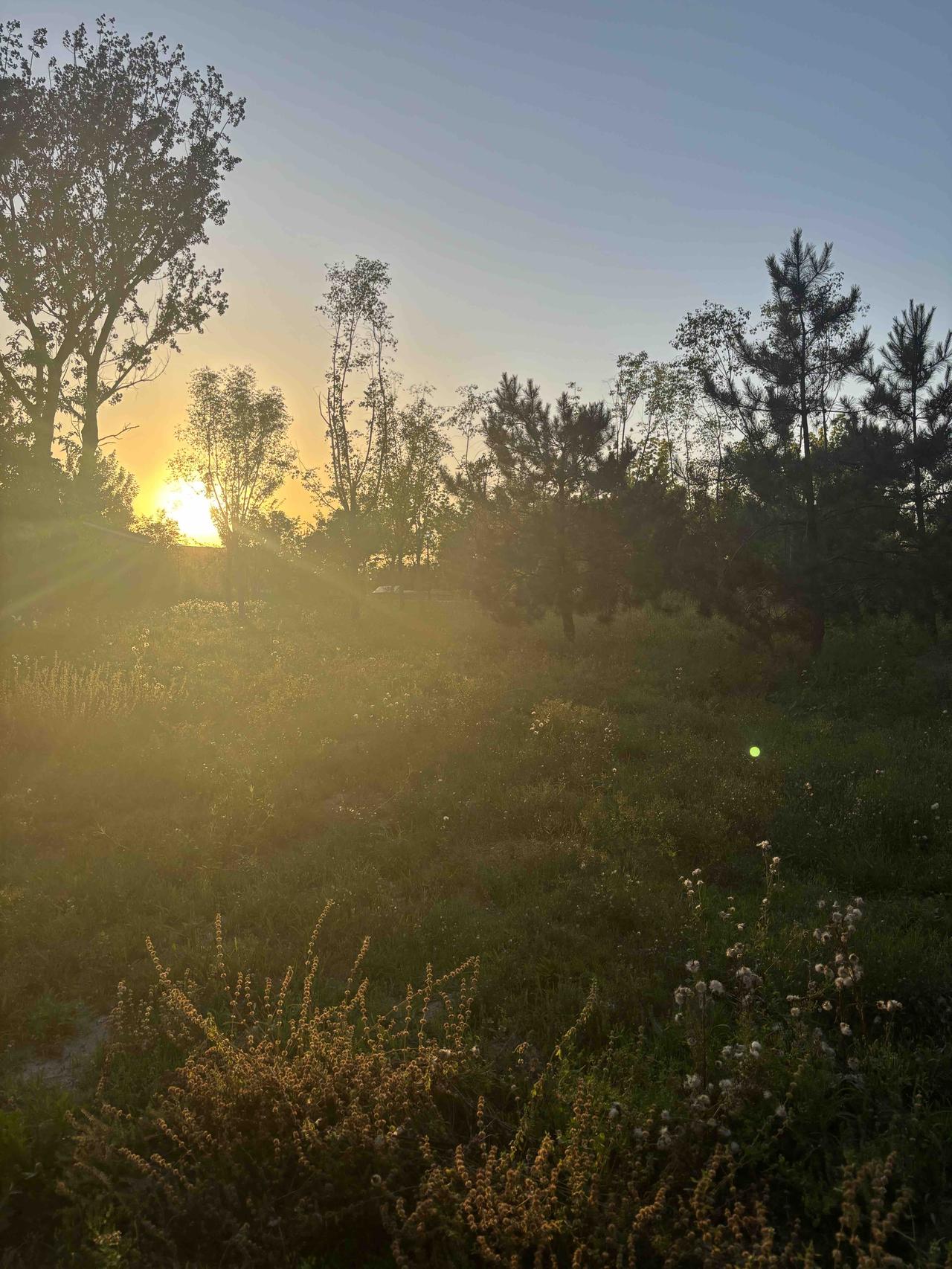一晃就到花甲之年了，人老不讲筋骨无能，再也没有了曾经的激情。
昔日疲惫在于追逐梦