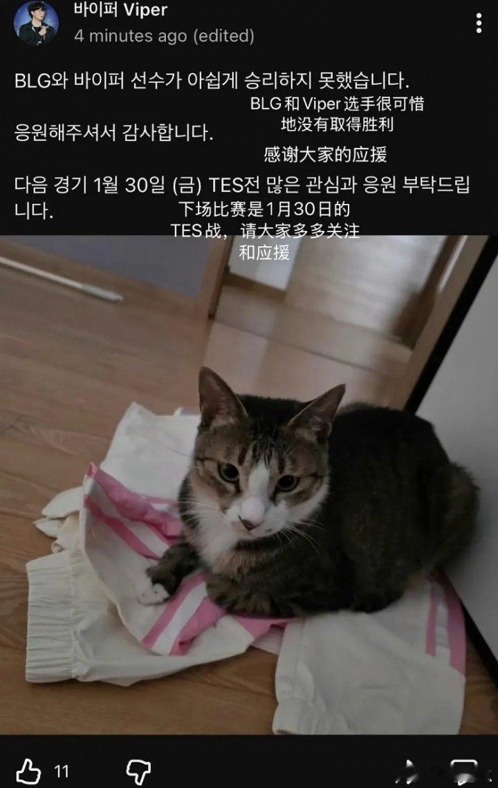啥情况？网友讨论Viper韩国社媒运营赛后发图不妥 其宠物猫把BLG队服踩在脚下