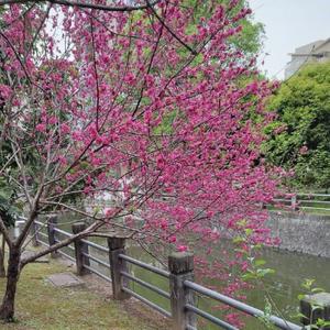 大风大浪与时俱进