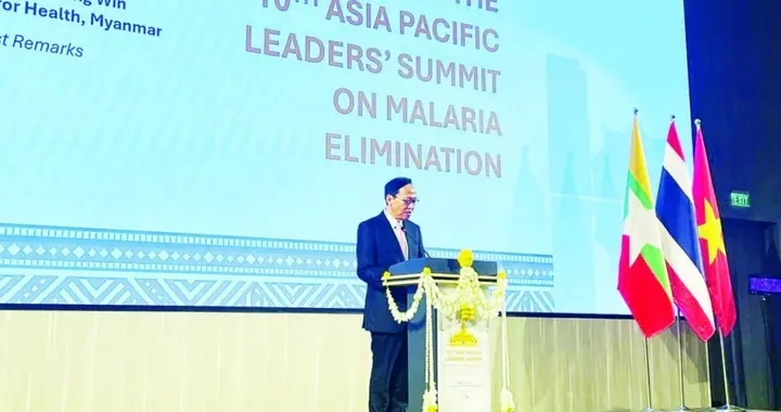 中老缅联手抗疟 缅甸卫生部长与中老官员会谈，加强边境传染病防控