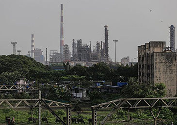 【无视美方施压，#印度恢复采购俄石油#】【文/观察者网 阮佳琪】10月下旬，美国