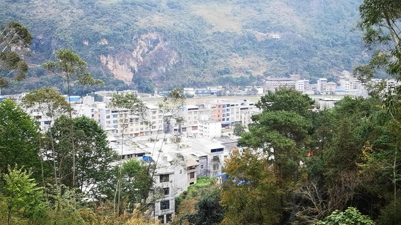 初五祝您财源广进