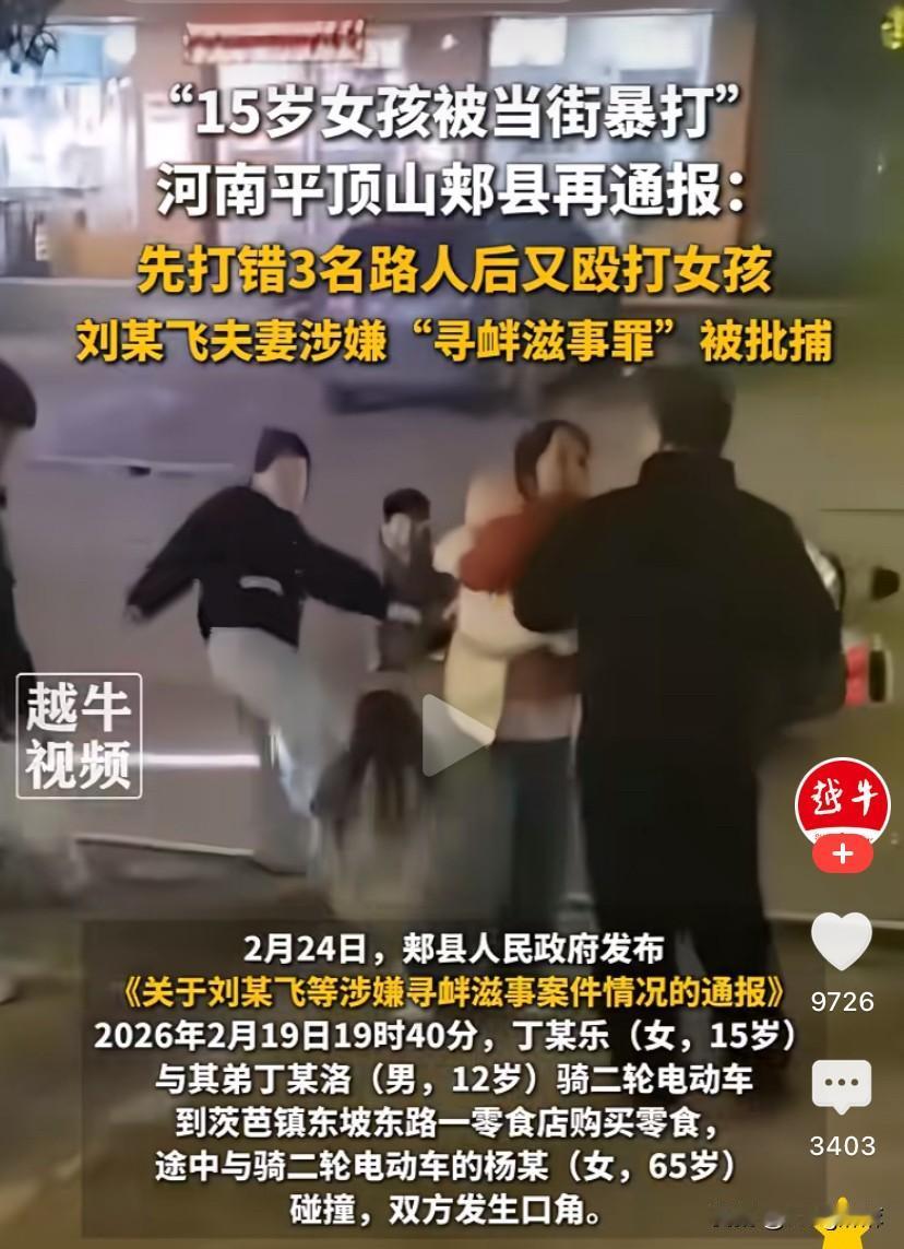 平顶山打人事件中，我注意到一个细节：

在刘某飞打人时，其母亲和妻子都在身边，但