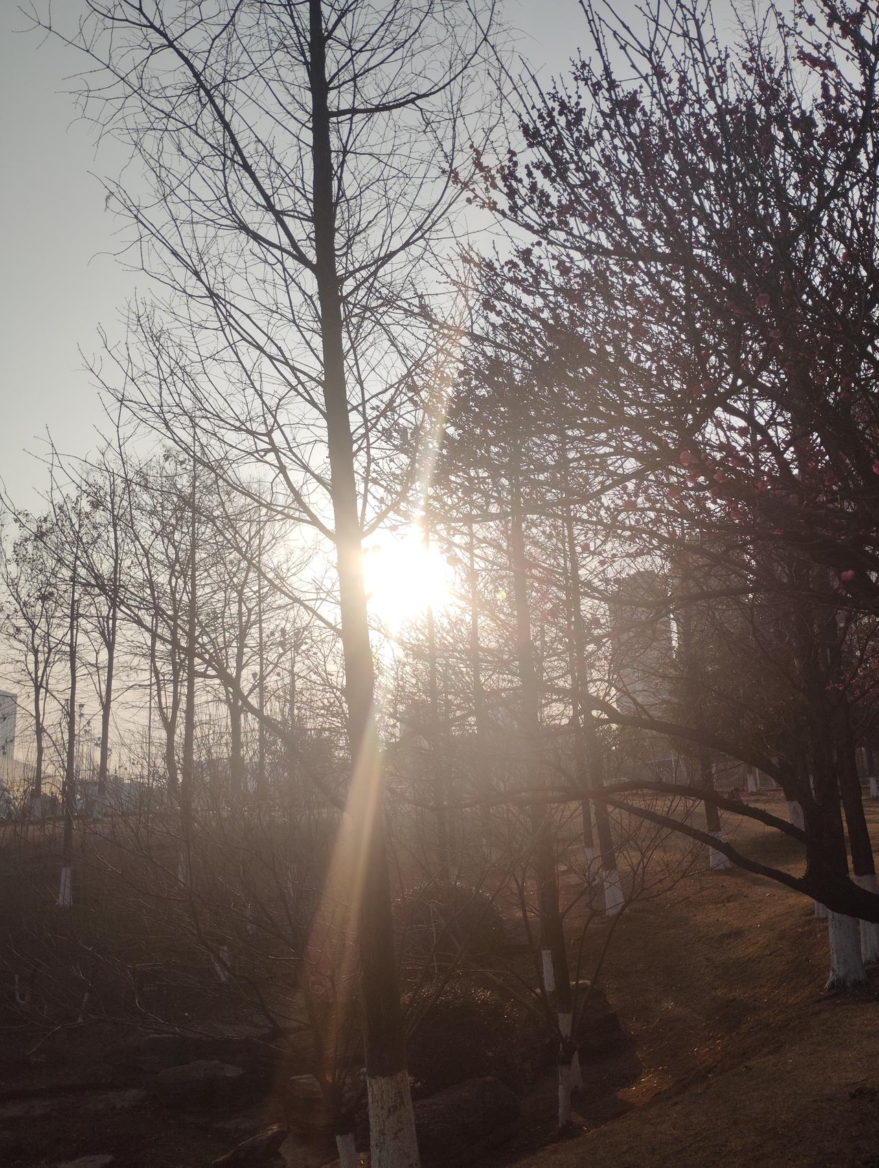 李连杰进军微短剧李连杰进军微短剧，是为了支持新人，给年轻人传授经验，让他们成长更