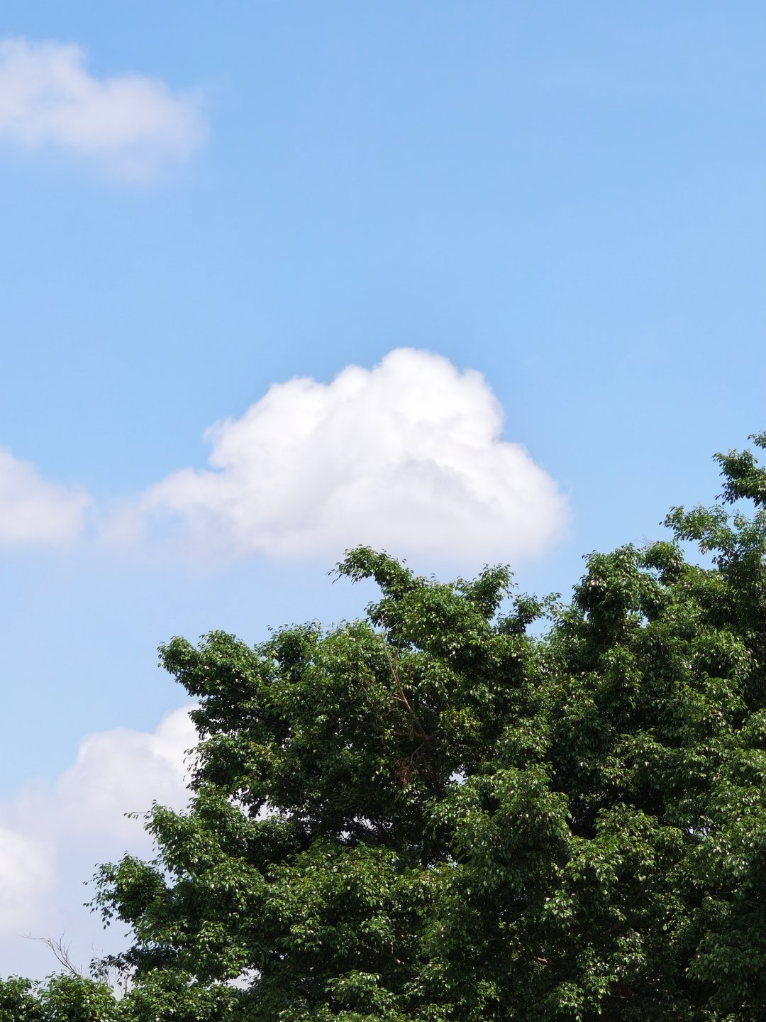 如果云知道……广州生活生活碎片云朵 广州