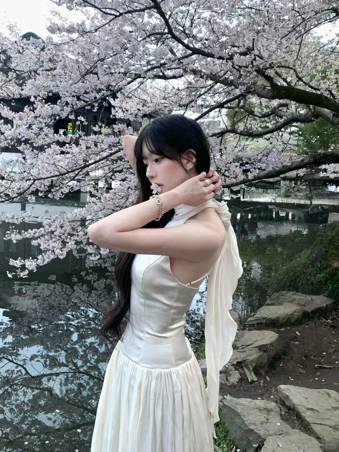 晒出你的本地生活心心念念曲院风荷的樱花，盼了一整年，今年终于得偿所愿，举着相机定