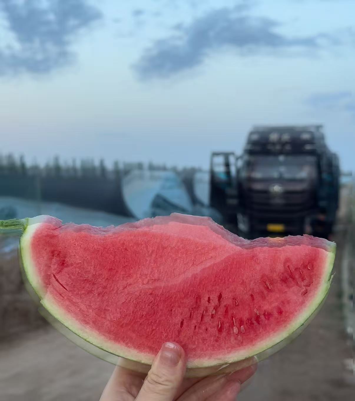 满满一卡车河南西瓜免费送劳动者千里运来河南西瓜，在聊城收获满满好评！帮扶瓜农打开