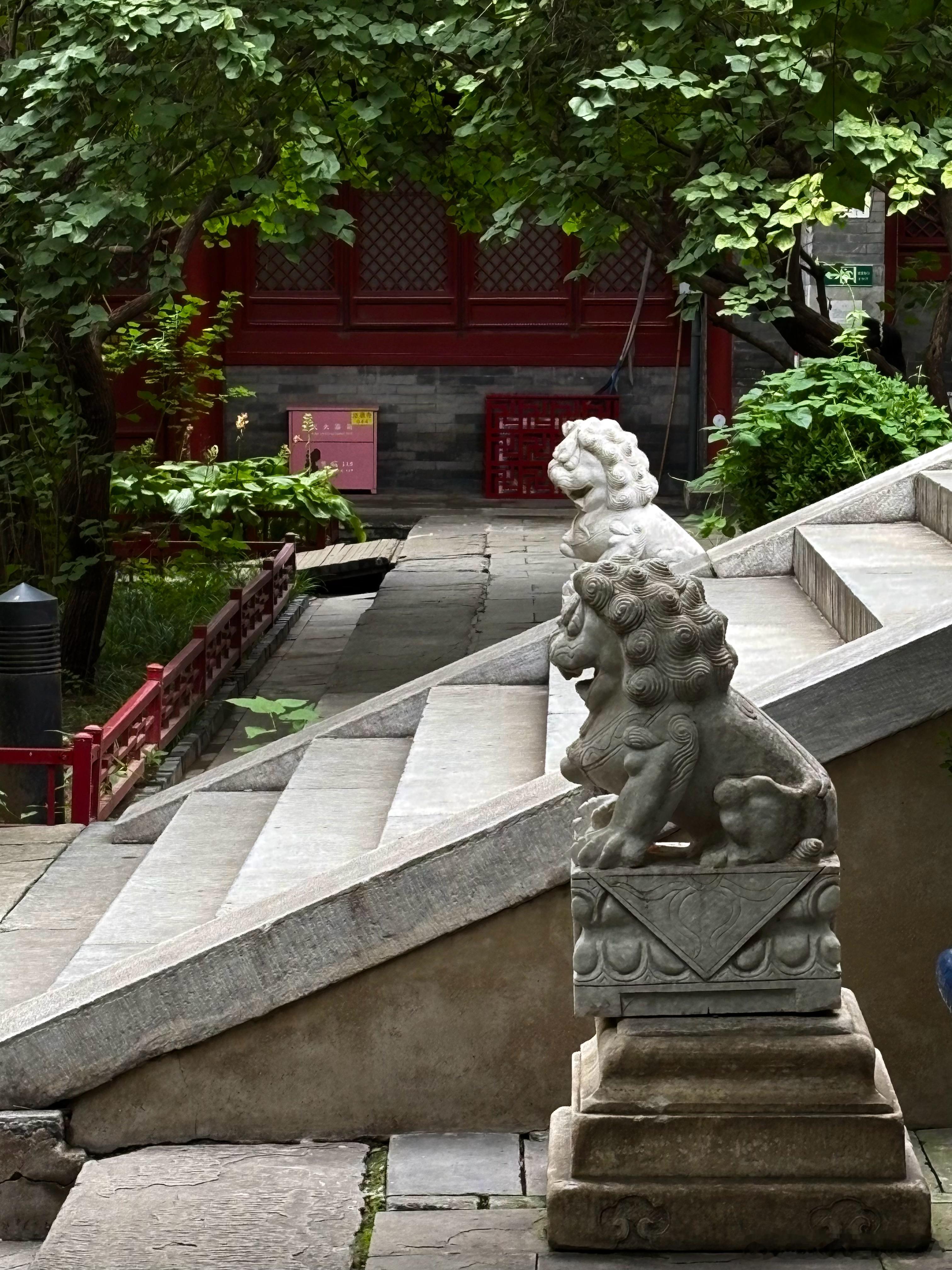 秋日法源寺 摄影北京你好[超话]  ​​​