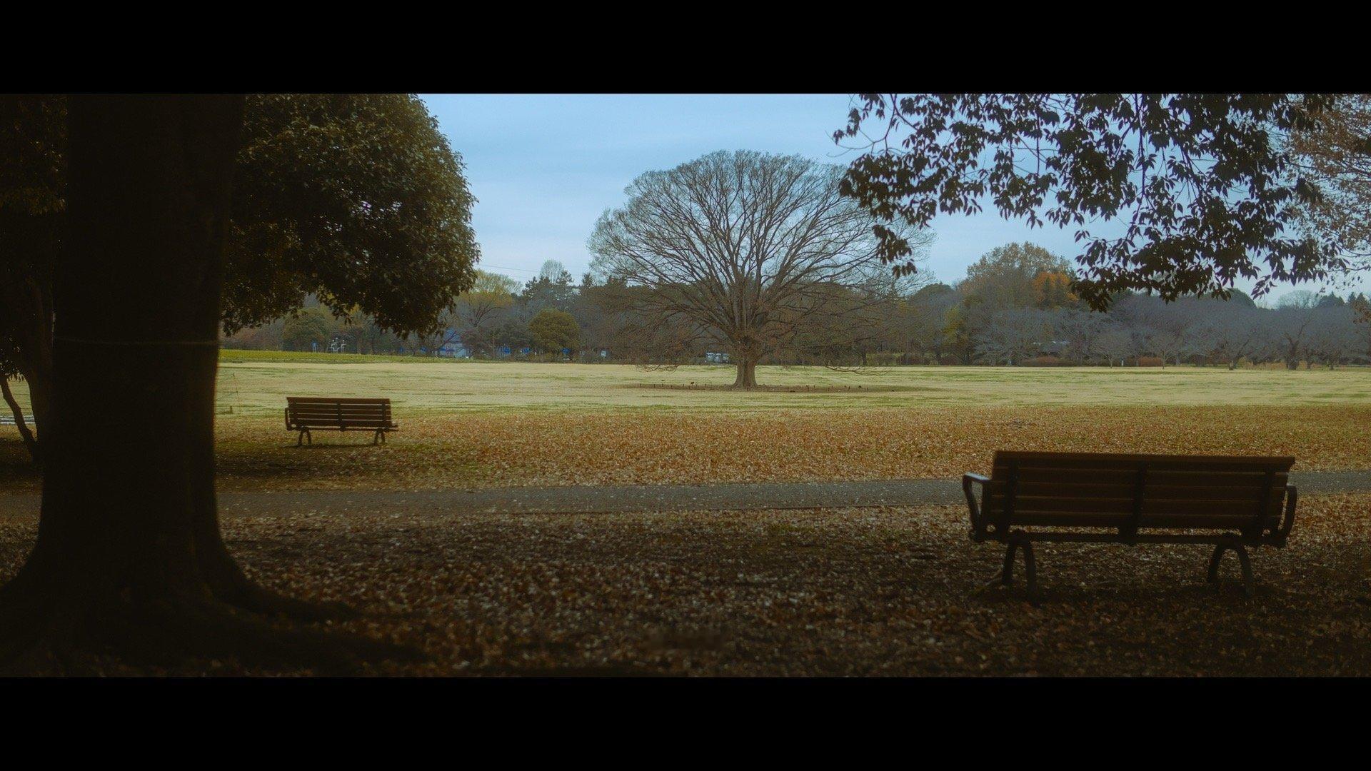 生活越是空白，就越容易被那些离开的人占据。｜Couto 