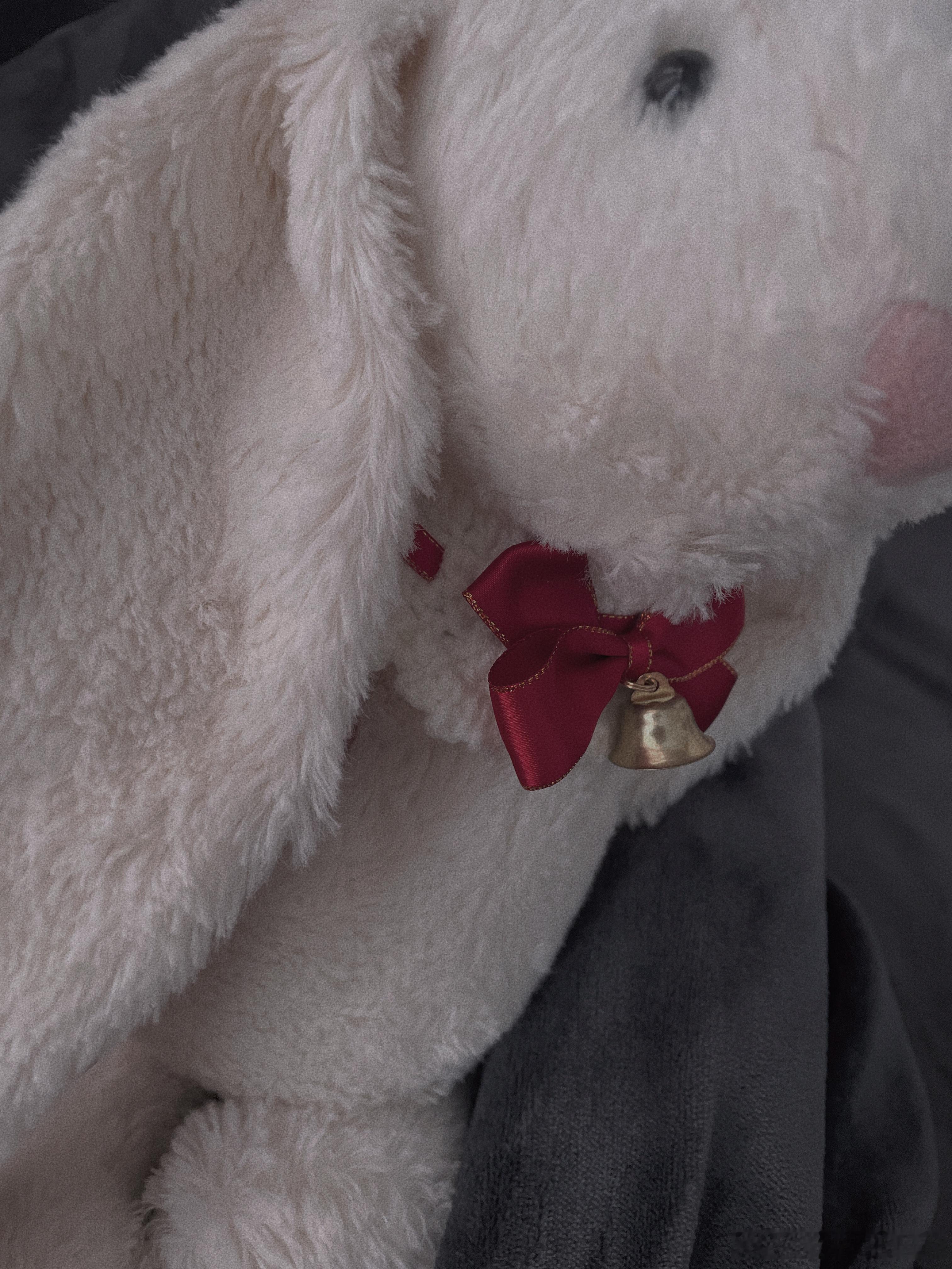 Z出差的四天里嘎嘎瘦了五斤～但是今晚他就回来了～ ​​​