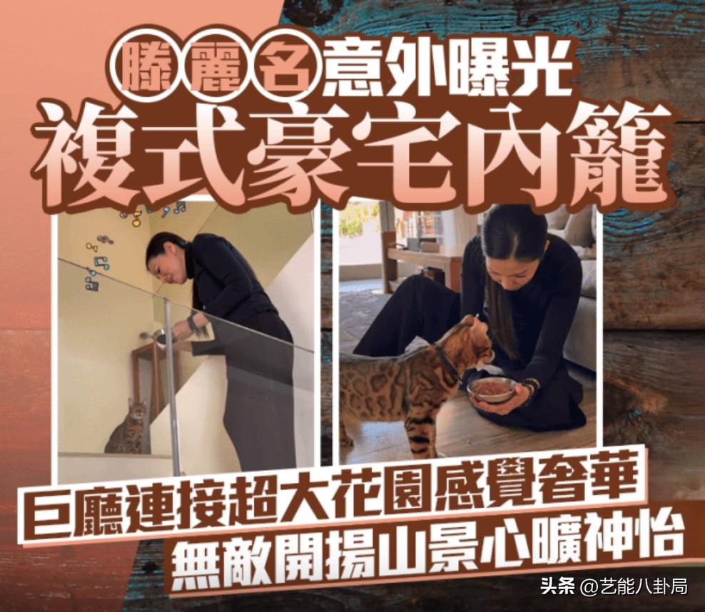 50岁港星复式花园豪宅曝光！与前任9年情断后，嫁高管丁克12年过得滋润，啪啪打脸