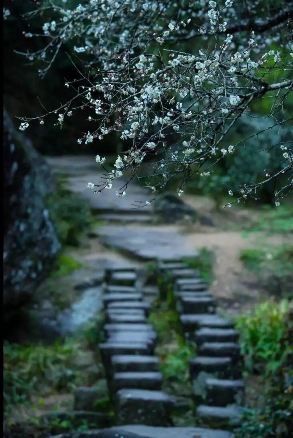 去触摸一片叶子的花纹，去闻一下夏日暴雨过后的清新空气……那些我们有记忆的感觉，都