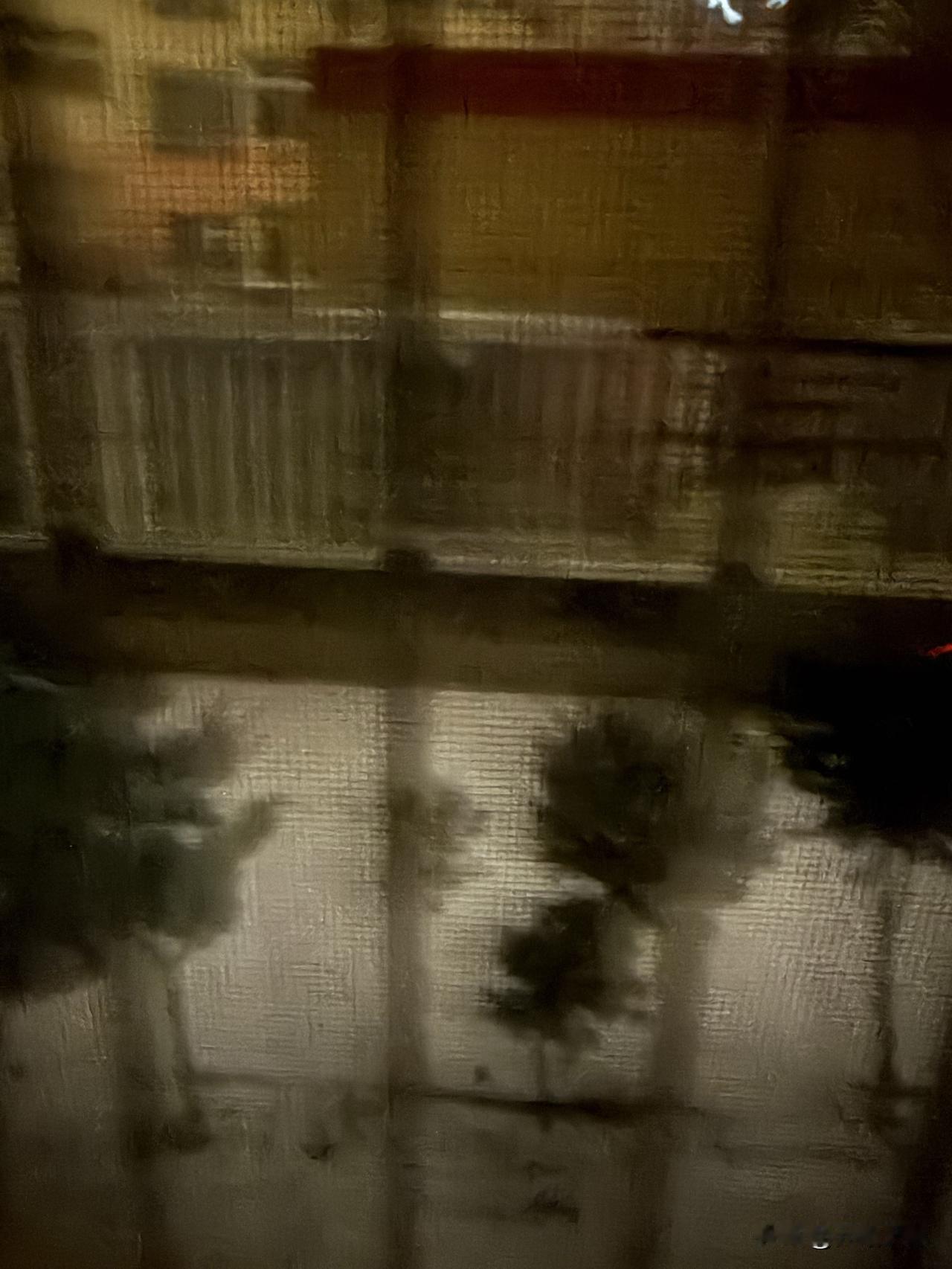 记录我的2026青岛昨晚上下雪了，昨天白天也下雪了天气热都化了，今天天气冷没有化