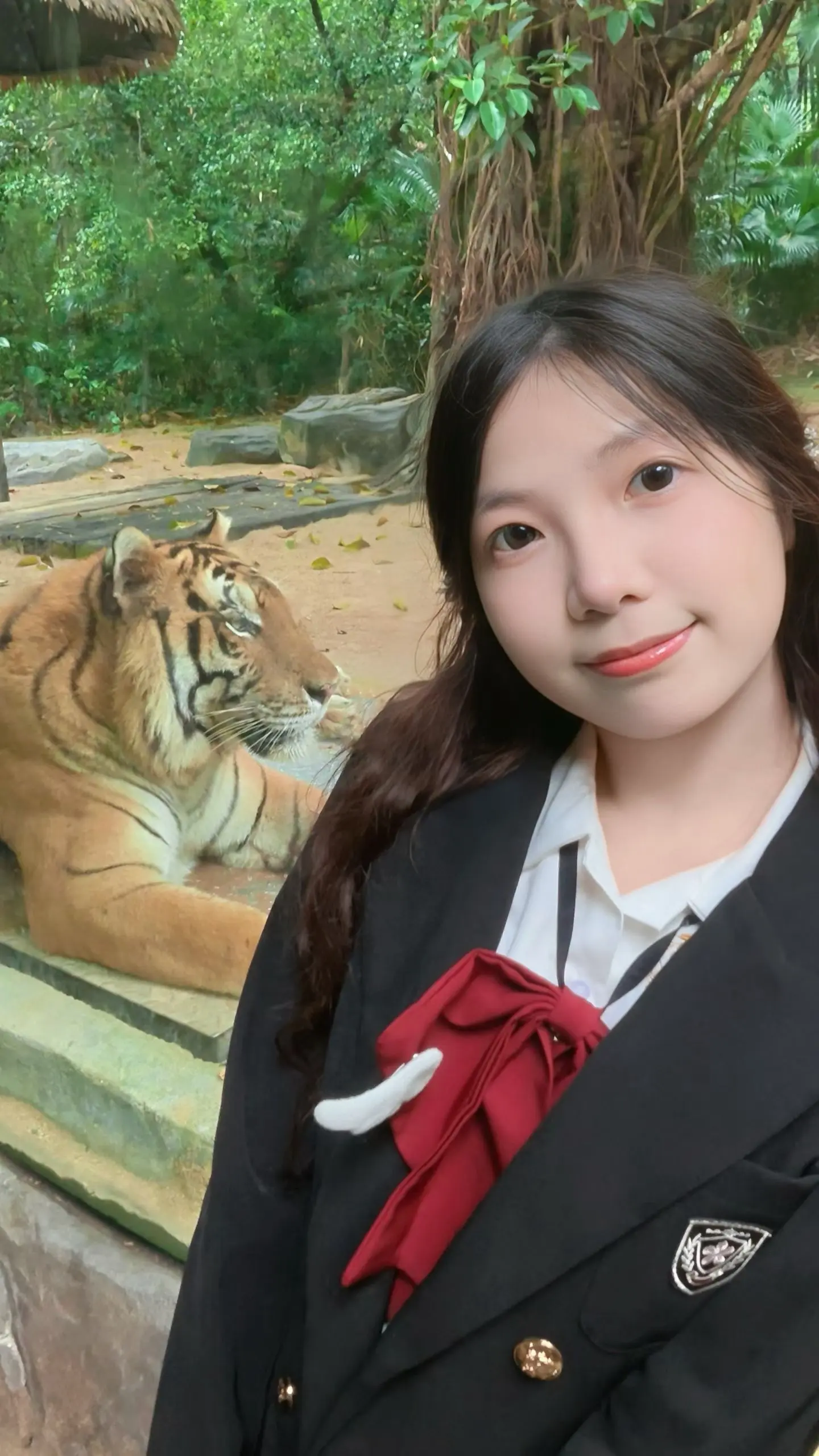 动物园里有什么🐼🐅🦒🐘🐨
