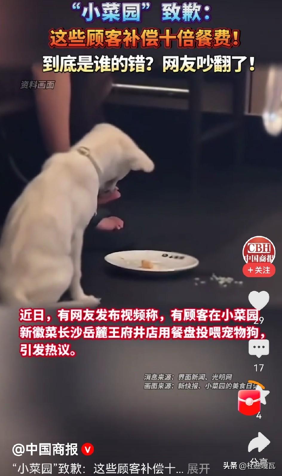 饭店赔了十倍，那拿餐盘喂狗的女顾客，要不要担责？
长沙小菜园这件事，看着让人来气