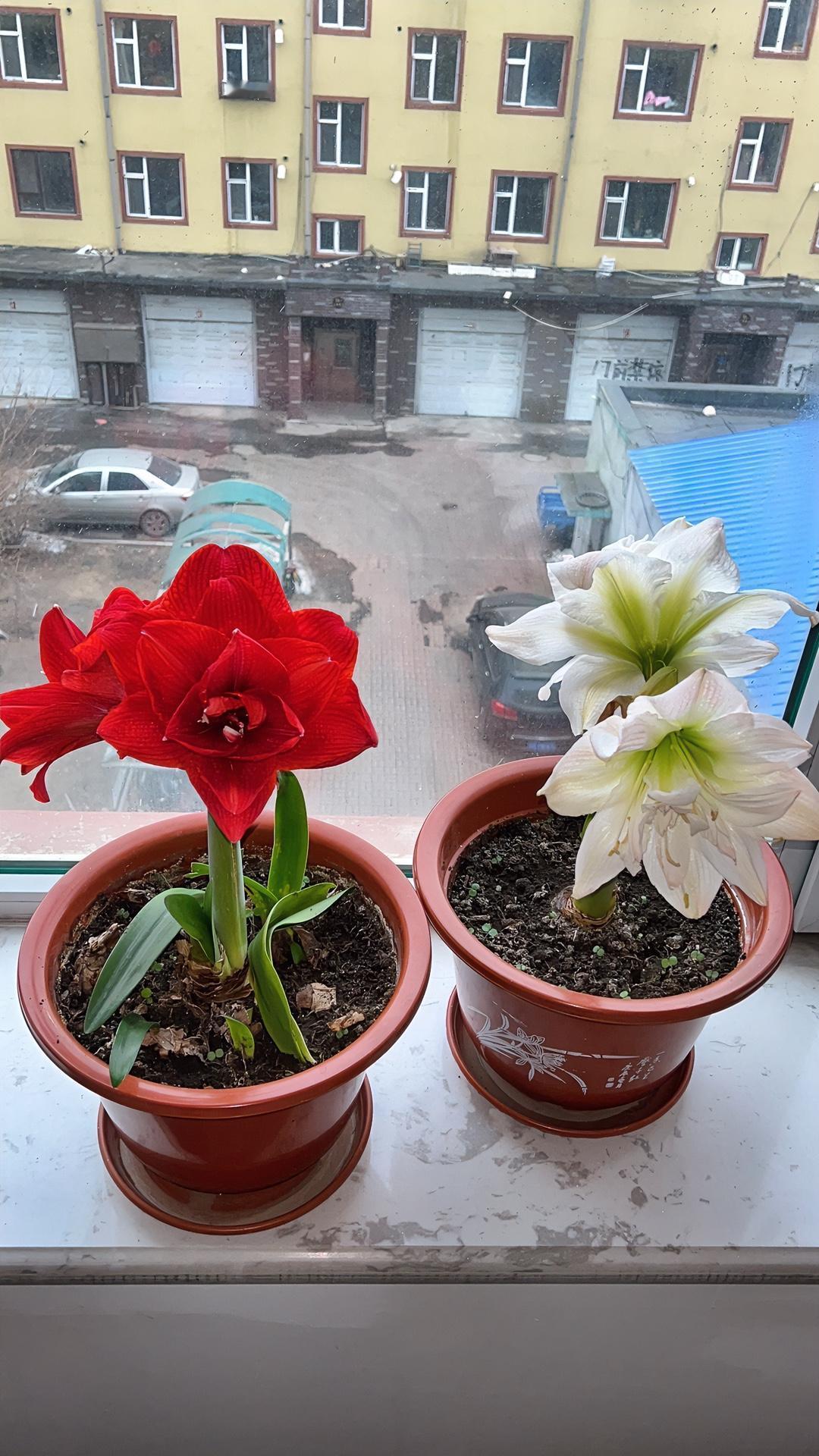 人到晚年，亲情，陪伴，都是虛的，最后能给你兜底的，就两样东西.

说真的，人过五