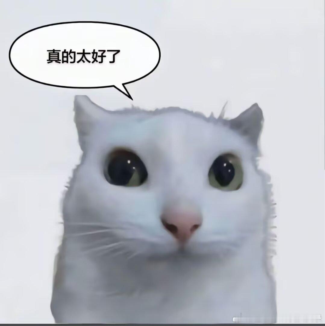 8561对我所有的朋友们： 