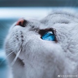 踢球王热读体育