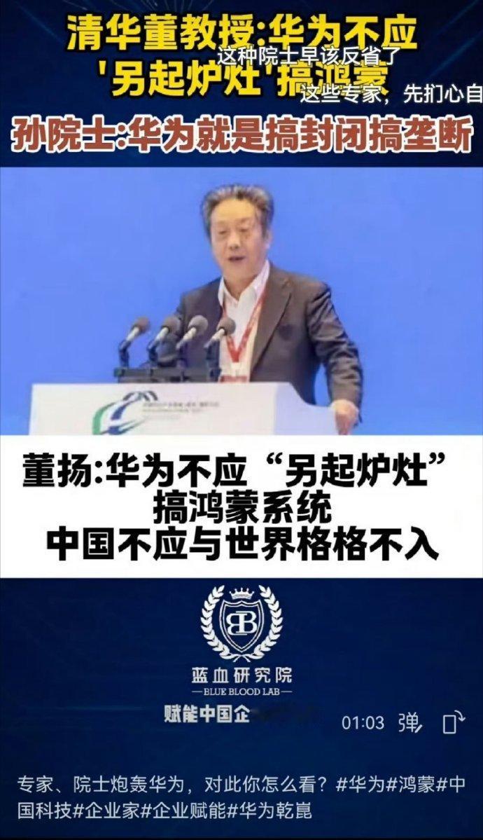 董扬教授警示：华为应坚守自主研发，不应盲目追求鸿蒙系统。中国应坚持开放合作，与世