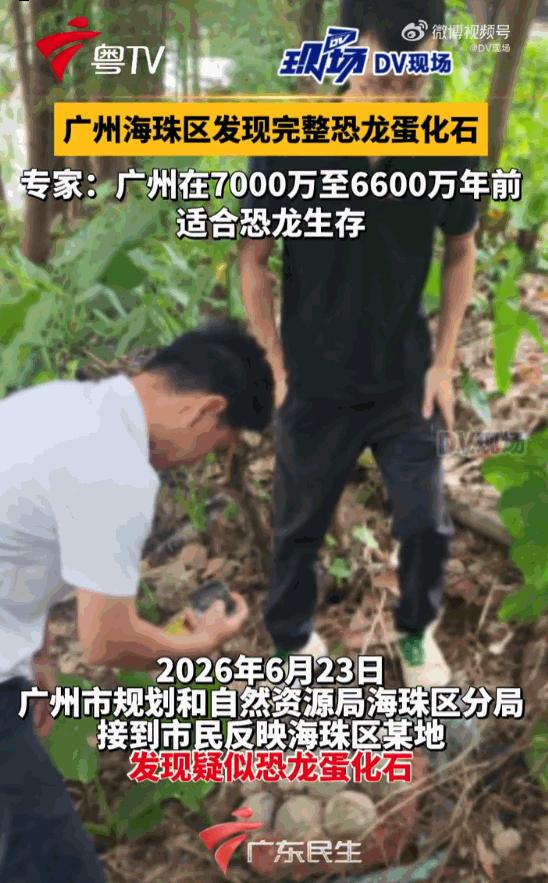 “真的太不可思议了！”广州海珠繁华市中心，高楼地铁环绕的闹市里，居然藏着 700