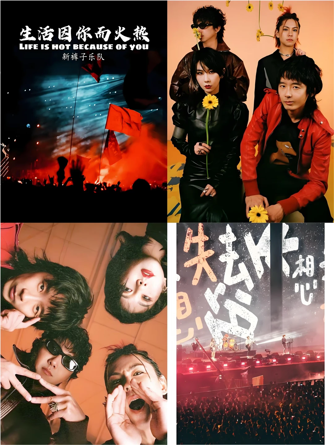 耳机里的新裤子，在深圳变成真的泪和汗了😭
