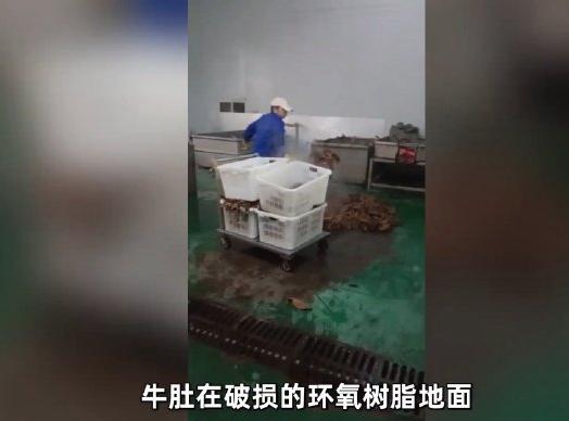 【光鲜带货背后的肮脏车间，网红毛肚生产乱象曝光！315在行动 】

“没有任何腥