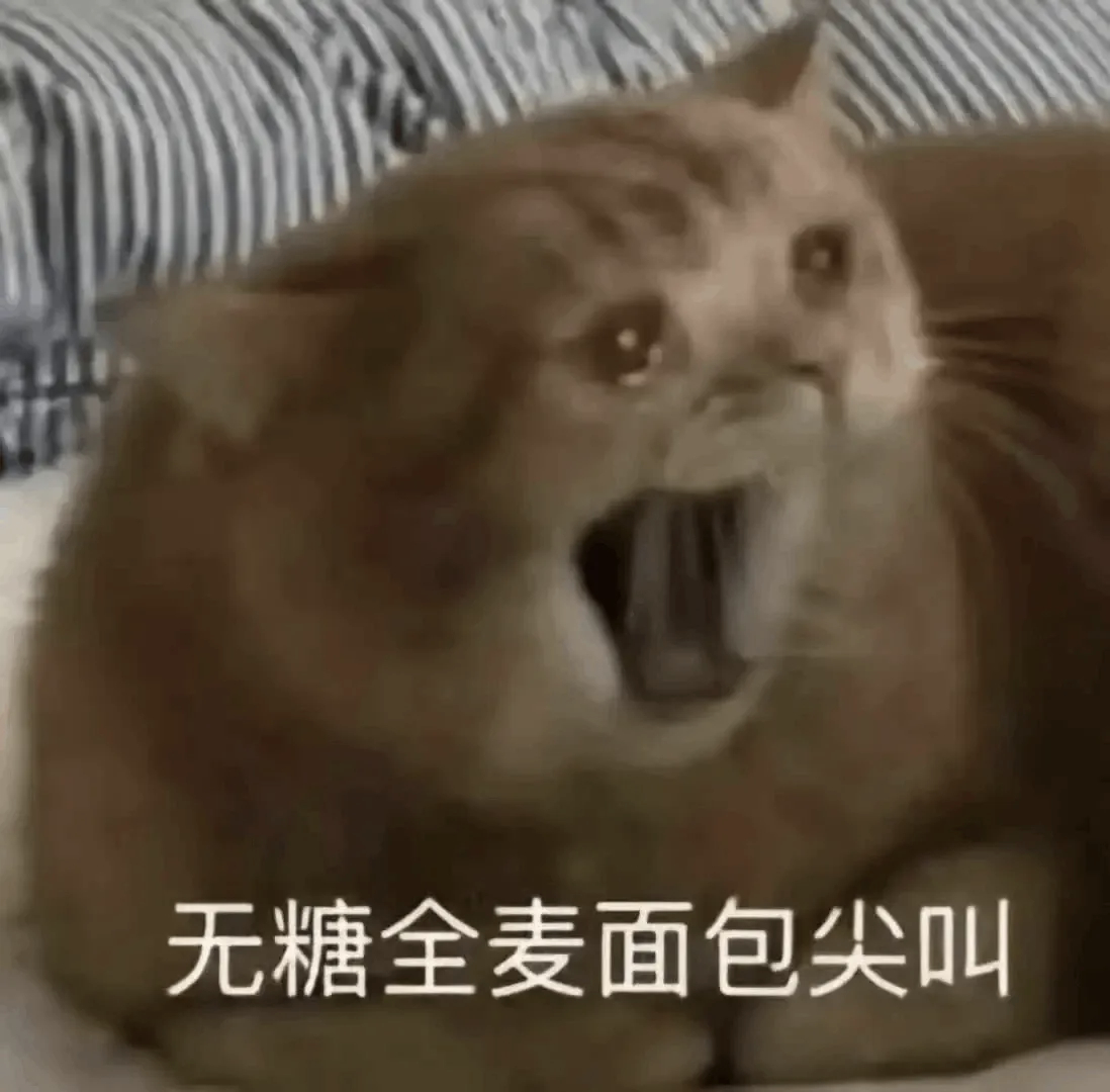 见鬼了，我好像在家里看到老鼠了！我不是住15楼吗！它是怎么上来的啊！我宁愿我看见