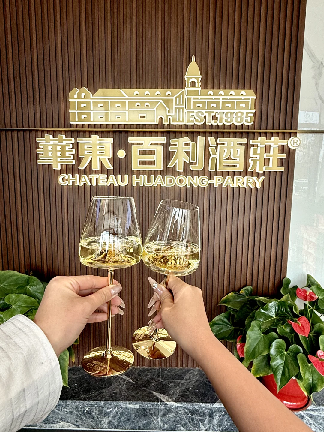 春节酒单🥂全家一致同意加入年夜饭餐桌